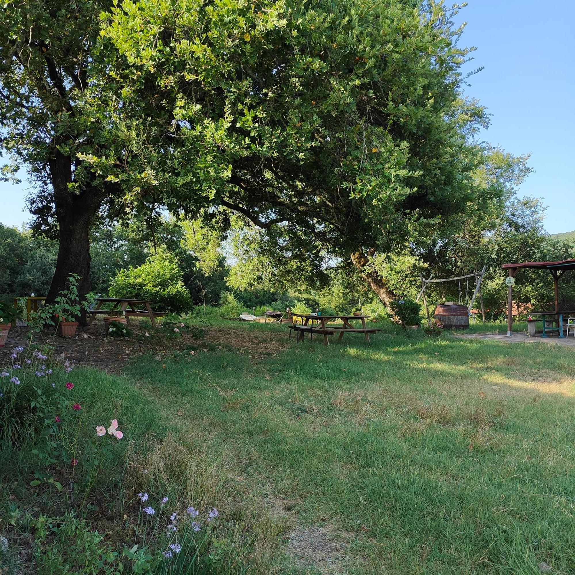 Agriturismo Il Casalino Pari Exteriér fotografie