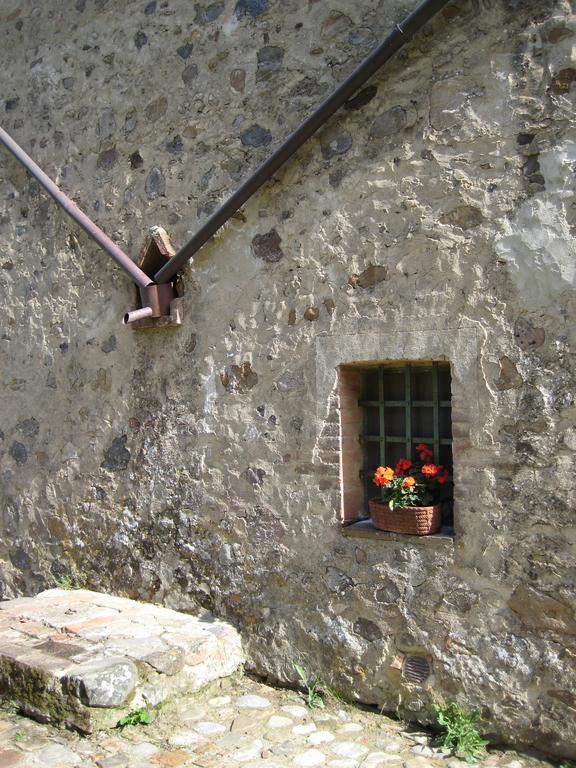Agriturismo Il Casalino Pari Exteriér fotografie