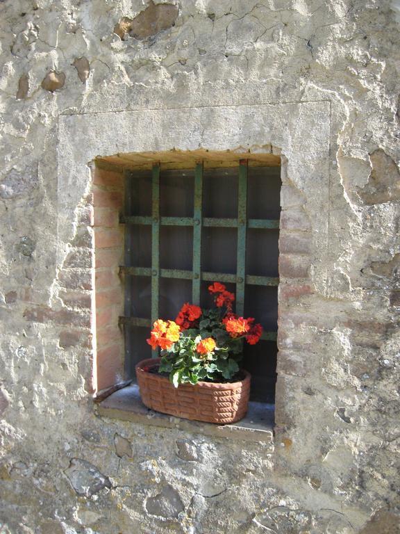 Agriturismo Il Casalino Pari Exteriér fotografie