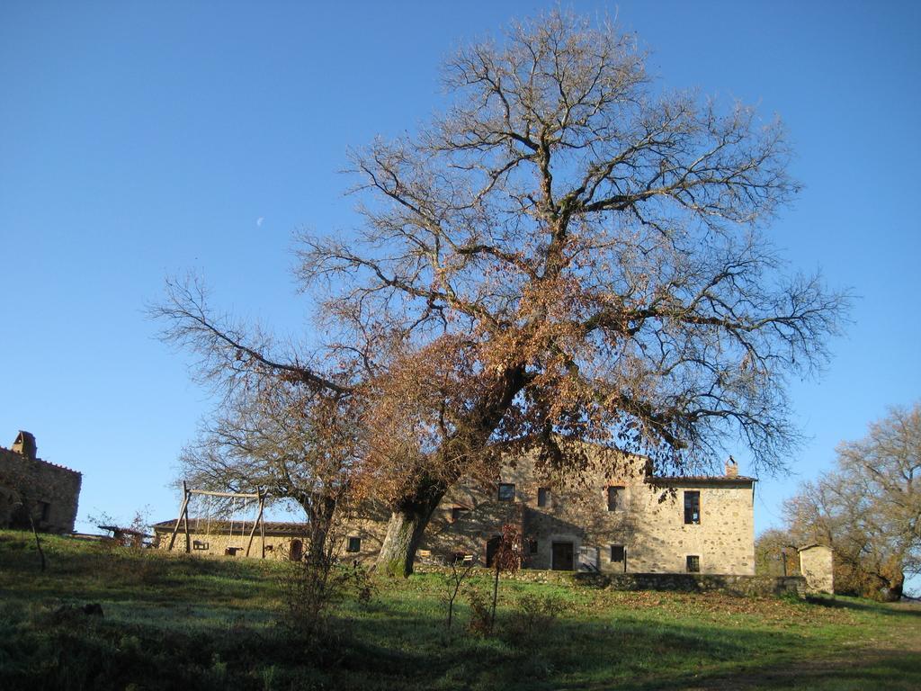 Agriturismo Il Casalino Pari Exteriér fotografie