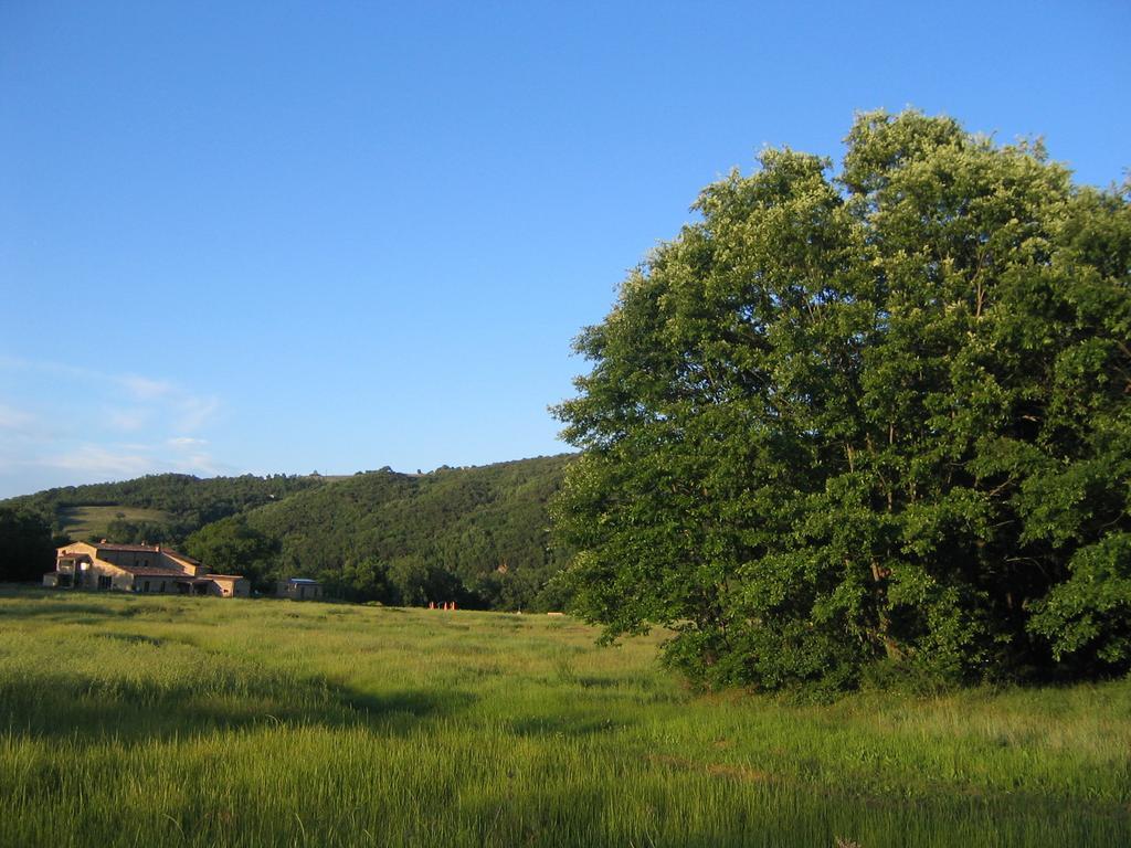 Agriturismo Il Casalino Pari Exteriér fotografie